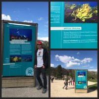 Tib in front of poster in Paris