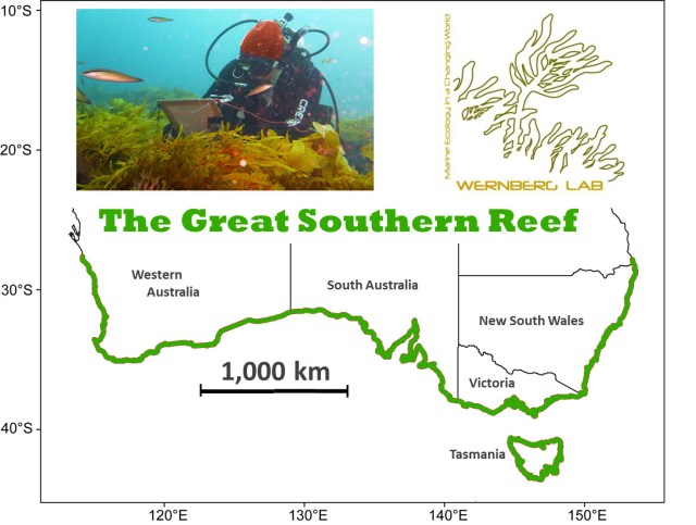 The Great Southern Reef