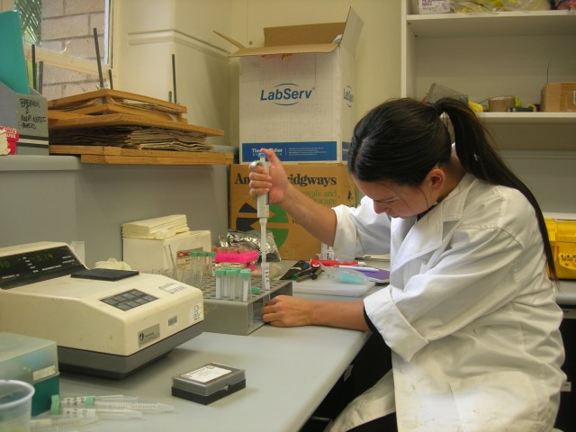 Pernille Pfeiffer pipetting pigments