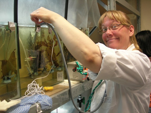 Maj-Britt PAM'ing seaweeds