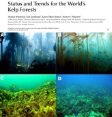 Status and trends for the worlds kelp forests