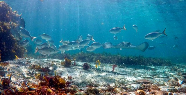 Sara Barrientos tethers