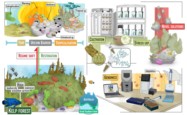Antoine PhD infographic